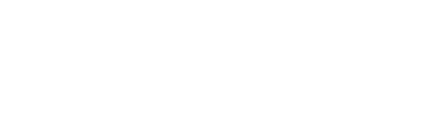 HDS Logo